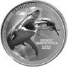 . 1 aaaaaaacoin CONGO 20 FRANCOS 2025 MEGALODON DINOSAURIO 5ª MONEDA DE PLATA ONZA OZ 2ª Prehistoric Life 2026