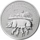 INGLATERRA 2 LIBRAS 2019 AÑO LUNAR DEL CERDO MONEDA DE PLATA PURA 2 Pounds Silver 1 ONZA OZ OUNCE Year of the PIG