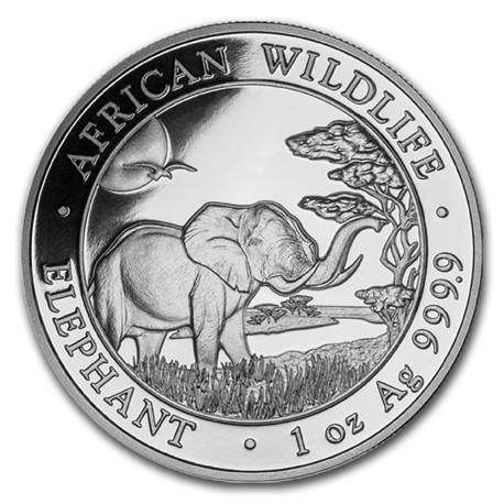 SOMALIA 100 SHILLINGS 2019 ELEFANTE AFRICANO y CRIA MONEDA DE PLATA Oz silver 1 ONZA 2022 Cápsula