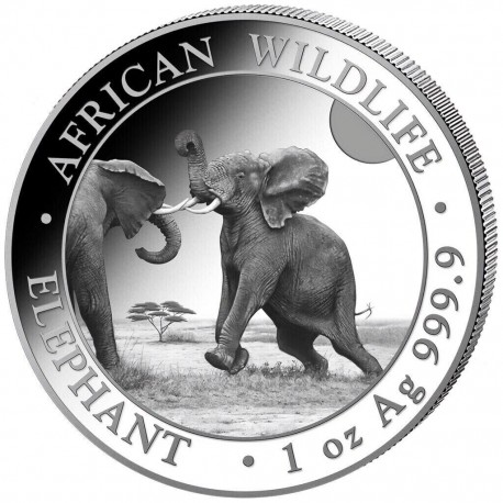 . 1 aaaaacoin SOMALIA 100 SHILLINGS 2024 ELEFANTE AFRICANO LUCHANDO MONEDA DE PLATA silver CAPSULA ONZA OZ Elephant