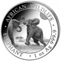 . 1 aaaaacoin SOMALIA 100 SHILLINGS 2024 ELEFANTE AFRICANO LUCHANDO MONEDA DE PLATA silver CAPSULA ONZA OZ Elephant