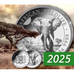 . 1 aaaacoin @09/SEP Envío@ SOMALIA 100 SHILLINGS 2025 ELEFANTE AFRICANO MONEDA DE PLATA silver CAPSULA ONZA OZ Elephant