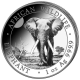 . 1 aaacoin SOMALIA 100 SHILLINGS 2025 ELEFANTE AFRICANO MONEDA DE PLATA silver CAPSULA ONZA OZ Elephant