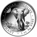 . 1 aaacoin SOMALIA 100 SHILLINGS 2025 ELEFANTE AFRICANO MONEDA DE PLATA silver CAPSULA ONZA OZ Elephant