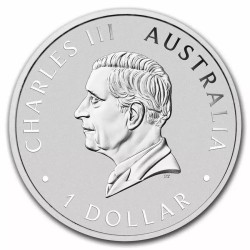 . 1 aaacoin @29/MAYO Envío@ AUSTRALIA 1 DOLAR 2024 KOALA Edición PERTH MINT MONEDA DE PLATA Cäpsula $1 Dollar ONZA OZ silver