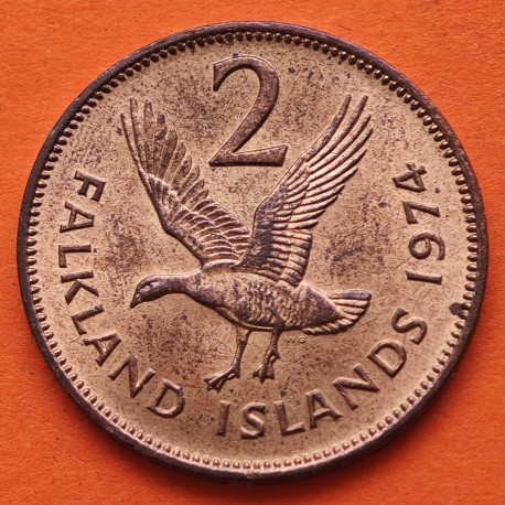 1º AÑO DE EMISIÓN x FALKLAND 2 PENIQUES 1974 GAVIOTA y REINA ISABEL II KM.3 MONEDA DE BRONCE EBC + PÁTINA 2 Pence ISLAS MALVINAS