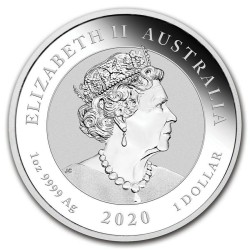 . 1 acoin AUSTRALIA 1 DOLAR 2020 PIXIU DRAGONES GUARDIANES MONEDA DE PLATA PURA ONZA OZ silver CAPSULA (Txt)