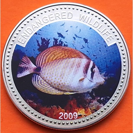 @COLORES - Tirada 1.000 uds@ PALAU 1 DOLAR 2009 PEZ CIRUJANO KM.285 MONEDA DE NICKEL + BAÑO DE PLATA SC