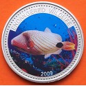 @COLORES - Tirada 1.000 uds@ PALAU 1 DOLAR 2009 PEZ BALLESTA KM.282 MONEDA DE NICKEL + BAÑO DE PLATA SC