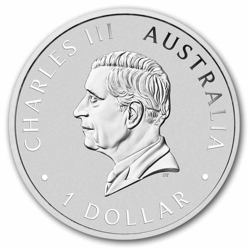 ** ENVÍO HOY ** AUSTRALIA 1 DOLAR 2026 KOALA EN RAMA Edición PERTH MINT MONEDA DE PLATA PURA $1 Dollar silver ONZA OZ cáps