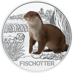 @RARA@ AUSTRIA 3 EUROS 2019 NUTRIA MONEDA DE NICKEL A COLORES SC @SE ILUMINA EN LA NOCHE@ Österreich 3€ Coin FISCHOTTER OTTER