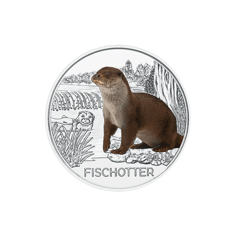 @RARA@ AUSTRIA 3 EUROS 2019 NUTRIA MONEDA DE NICKEL A COLORES SC @SE ILUMINA EN LA NOCHE@ Österreich 3€ Coin FISCHOTTER OTTER