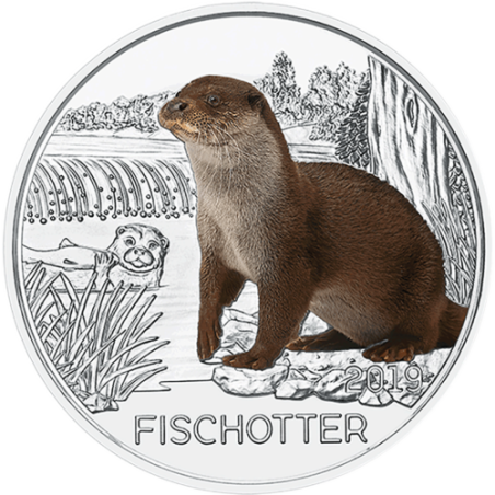 @RARA@ AUSTRIA 3 EUROS 2019 NUTRIA MONEDA DE NICKEL A COLORES SC @SE ILUMINA EN LA NOCHE@ Österreich 3€ Coin FISCHOTTER OTTER