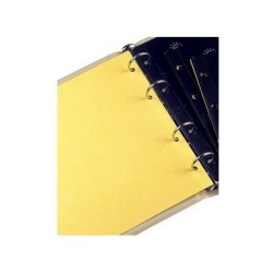 PARDO 25 CARTULINAS SEPARADORAS PARA TODO TIPO DE HOJAS de ALBUM PEQUEÑO Color AMARILLO Modelo 76908