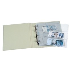 PARDO 10 HOJAS DE PLASTICO para BILLETES 1 ESPACIO modelo 134100 GRAN CALIDAD LIBRE DE PVC para ALBUM 3/4