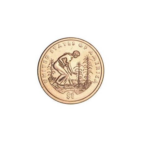 ESTADOS UNIDOS 1 DOLAR 2009 D INDIA SACAGAWEA MONEDA DE LATON SC USA $1 Dollar coin NATIVE