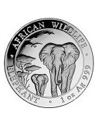 SOMALIA & SOMALILAND PLATA 1 ONZA